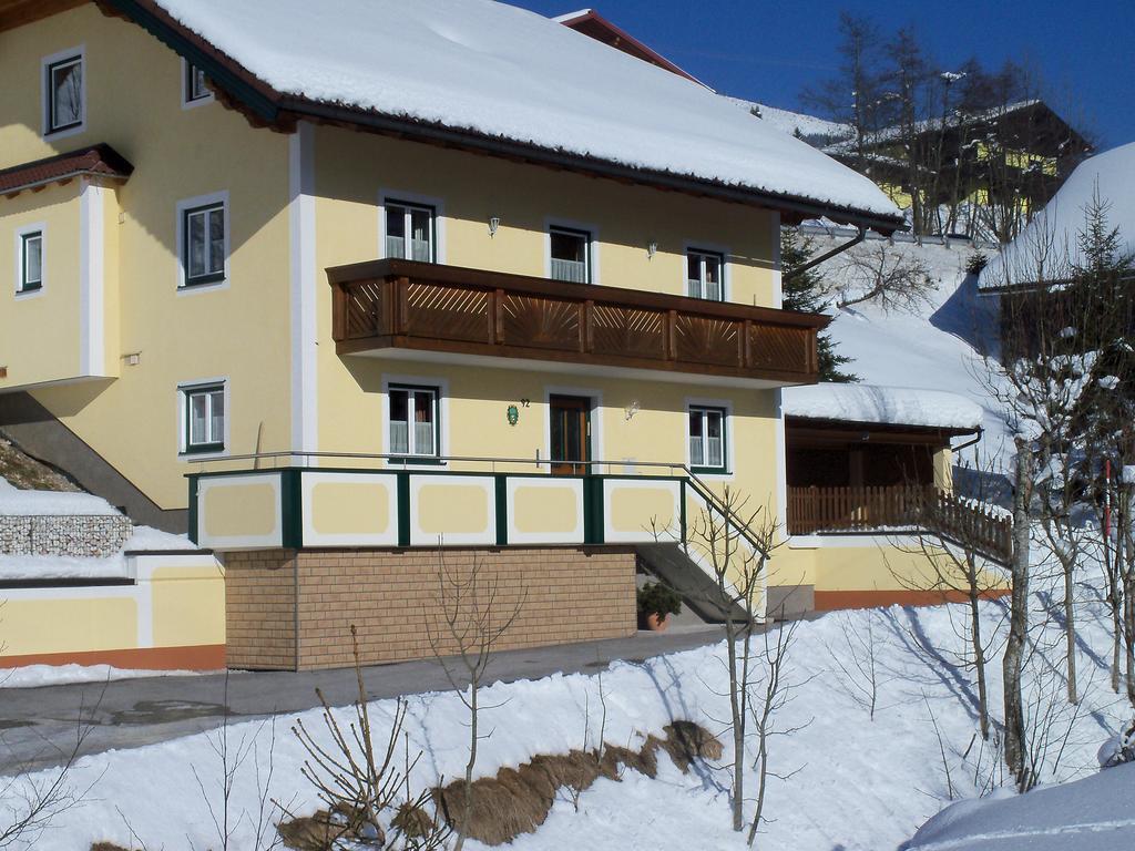 Haus Mary Appartement Russbach am Pass Gschütt Buitenkant foto
