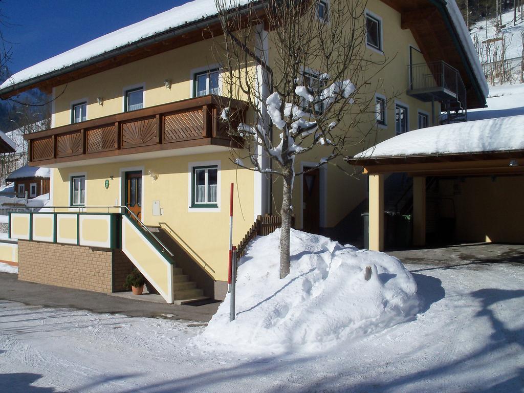 Haus Mary Appartement Russbach am Pass Gschütt Buitenkant foto