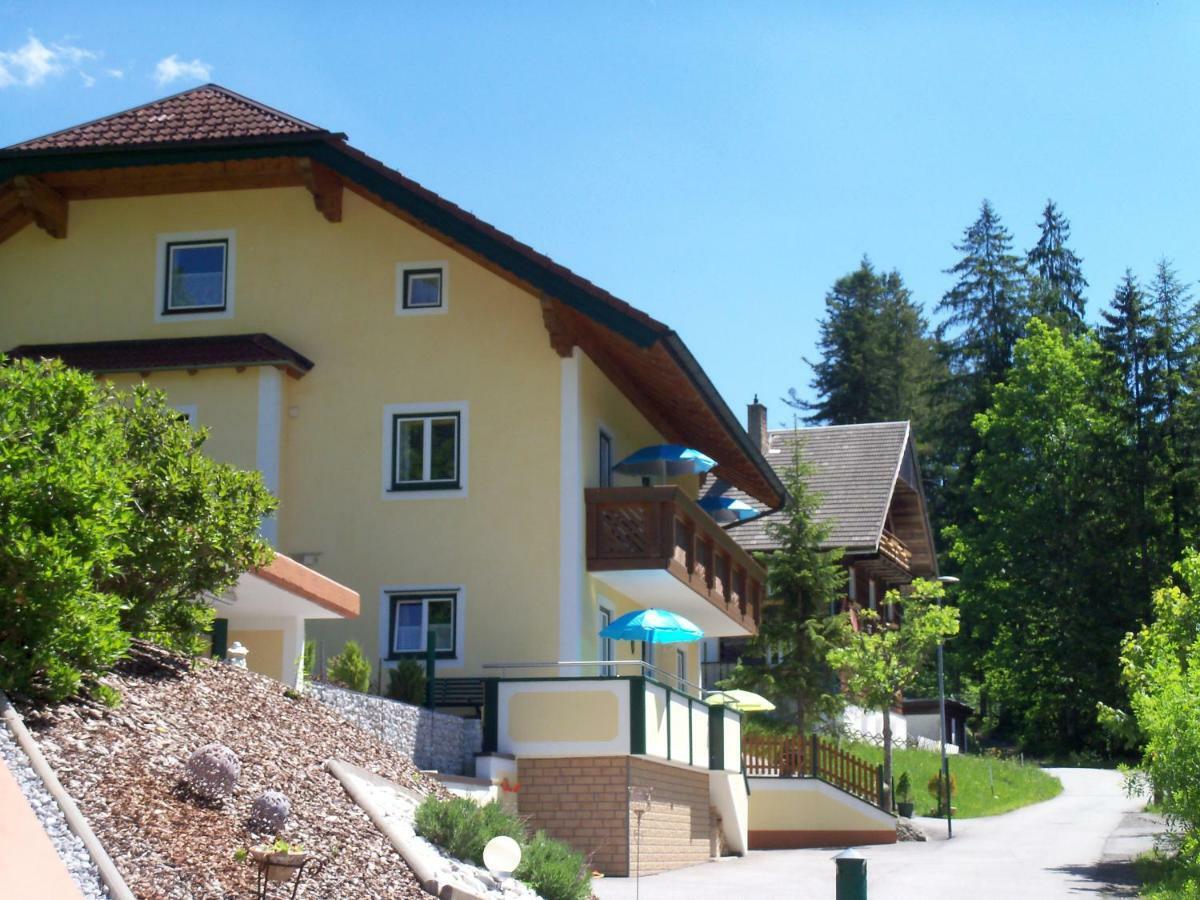 Haus Mary Appartement Russbach am Pass Gschütt Buitenkant foto