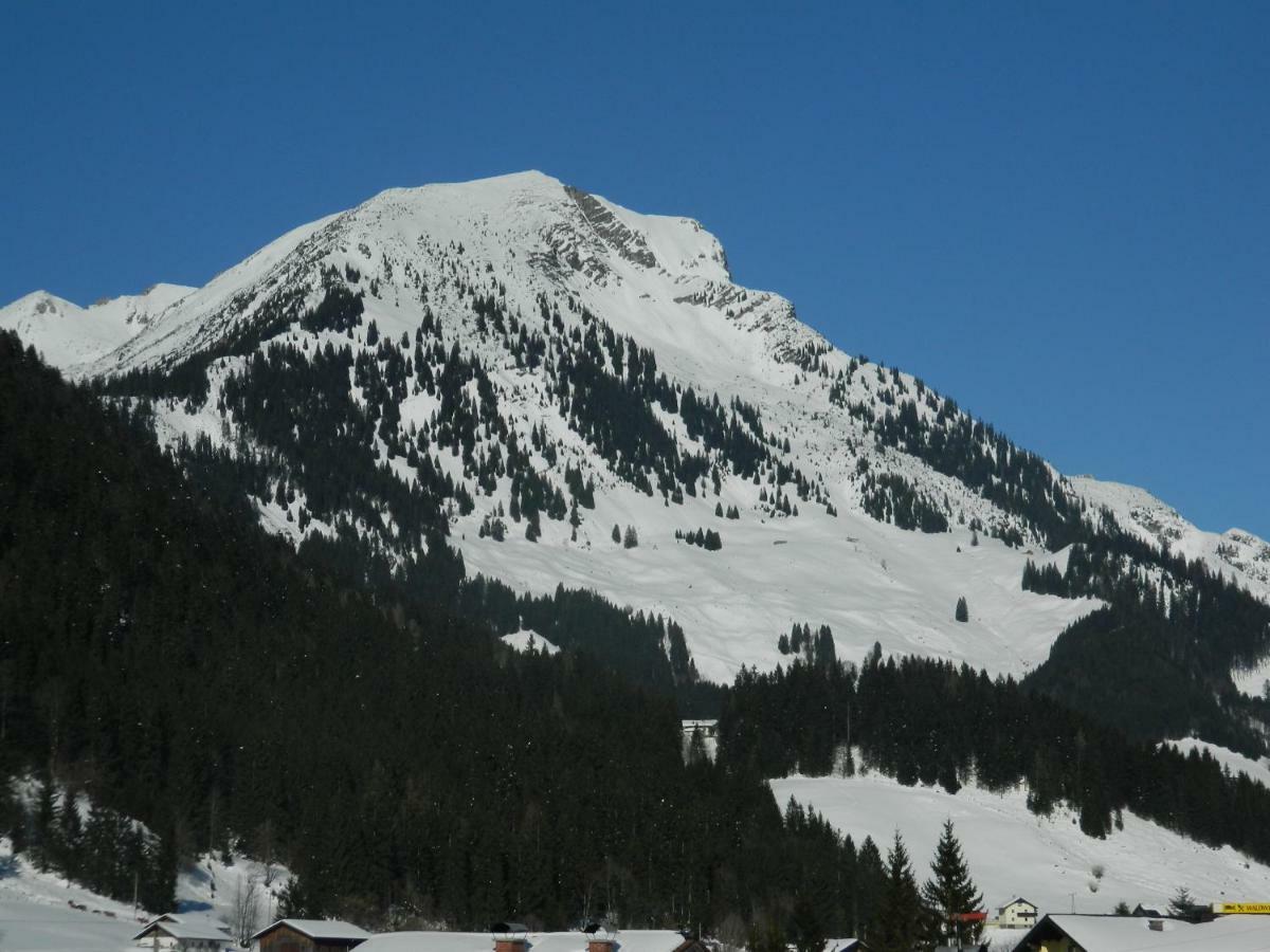 Haus Mary Appartement Russbach am Pass Gschütt Buitenkant foto